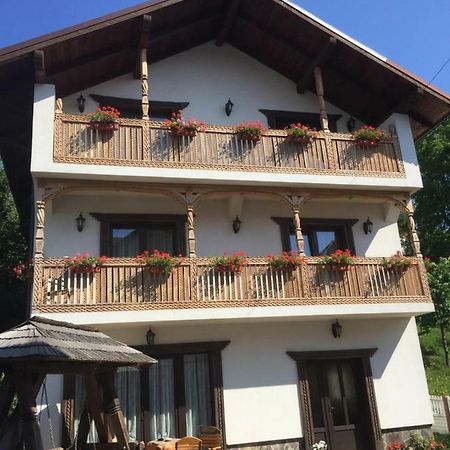 Pensiunea Rustic Borşa Екстериор снимка