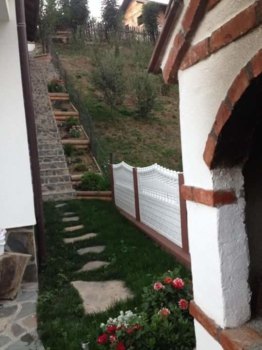 Pensiunea Rustic Borşa Екстериор снимка