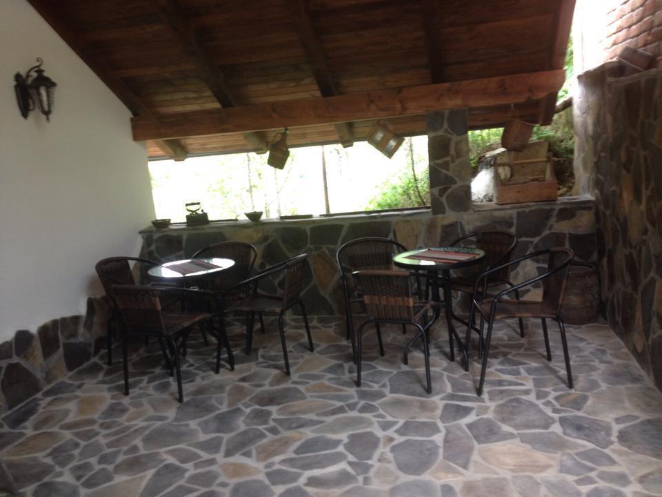 Pensiunea Rustic Borşa Екстериор снимка
