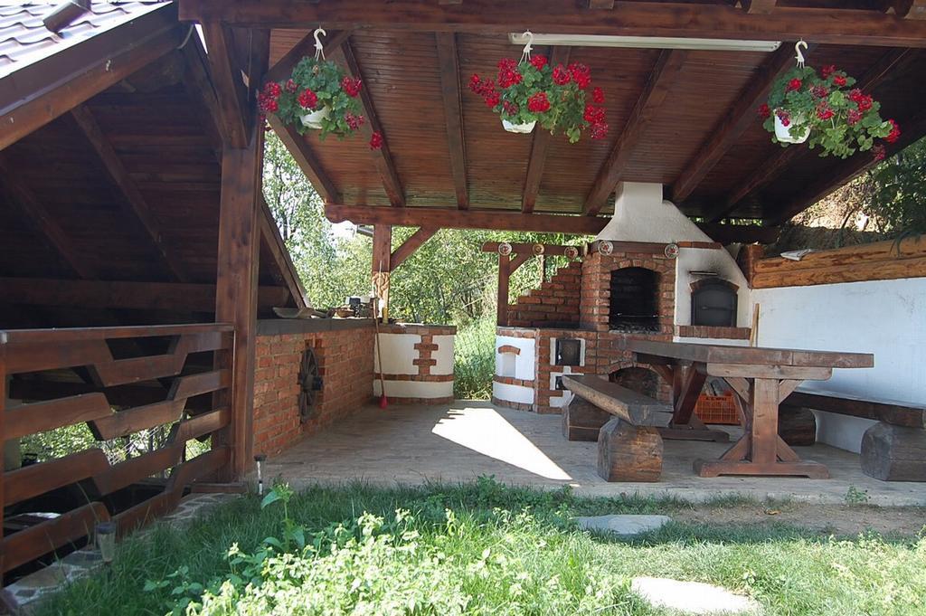 Pensiunea Rustic Borşa Екстериор снимка