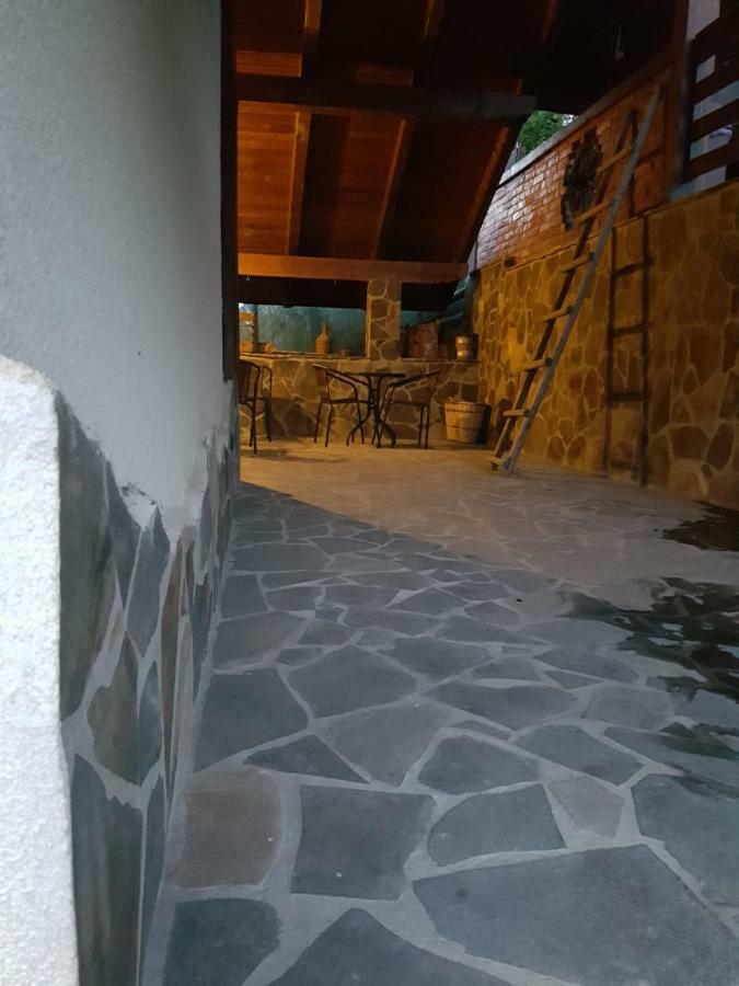 Pensiunea Rustic Borşa Екстериор снимка
