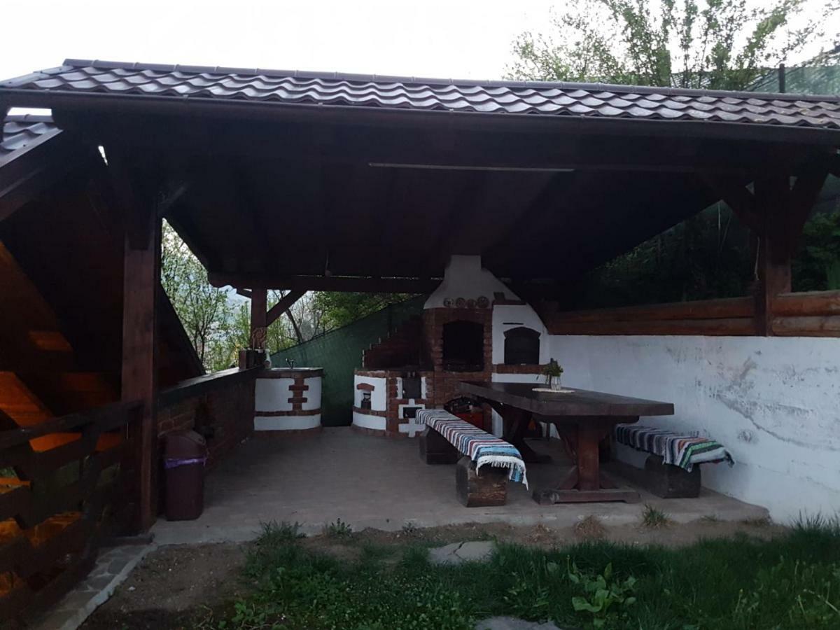Pensiunea Rustic Borşa Екстериор снимка